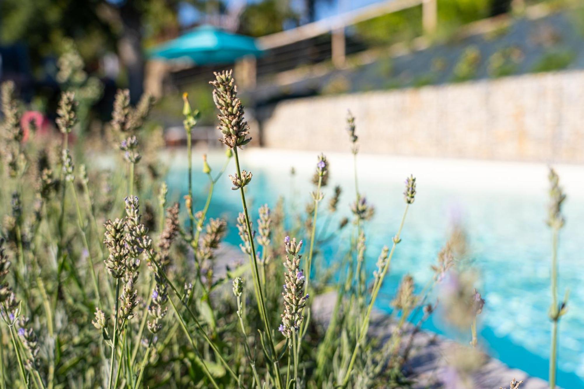 Cascina Giantino Suite Cantina - G A Y - M E N - O N L Y (Adults Only) Montegrosso dʼAsti Exterior foto